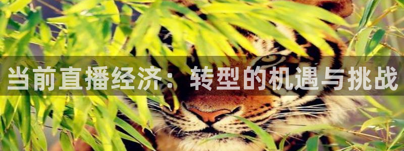 熊猫体育直播app下载
