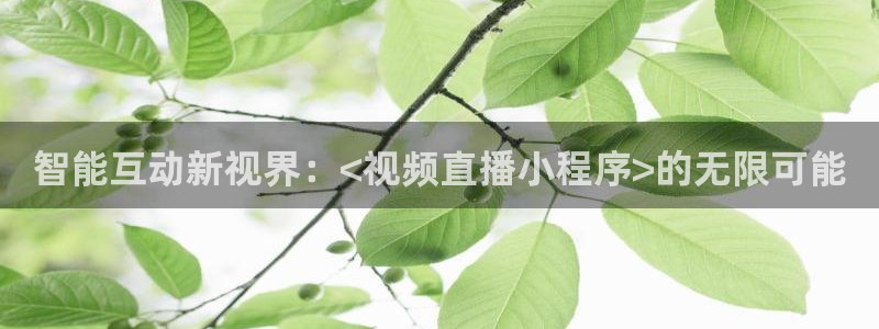 熊猫体育直播平台：智能互动新视界：<视频直播小程序>的无限可能