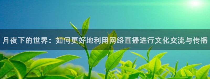 熊猫体育直播足球：月夜下的世界：如何更好地利用网络直播进行文化交流与传播