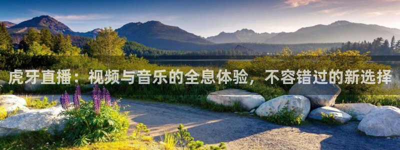 熊猫视频 直播：虎牙直播：视频与音乐的全息体验，不容错过的新选择