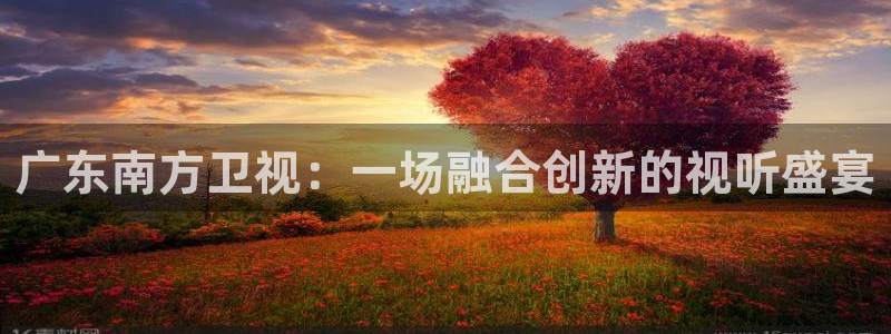 熊猫体育直播免费观看：广东南方卫视：一场融合创新的视听盛宴