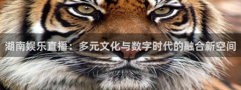 熊猫体育比赛直播：湖南娱乐直播：多元文化与数字时代的融合新空间