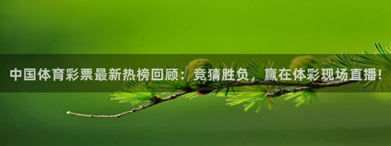 下载熊猫体育：中国体育彩票最新热榜回顾：竞猜胜负，赢在体彩现场直播!