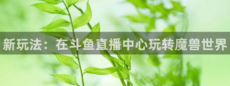 看直播熊猫：新玩法：在斗鱼直播中心玩转魔兽世界